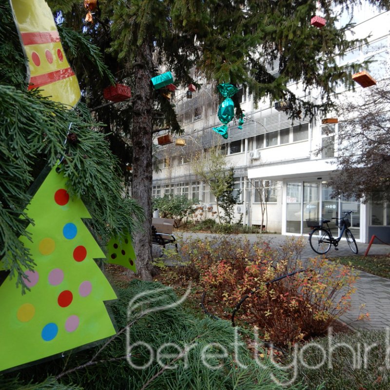 Fenyődíszítés a kórházban 30